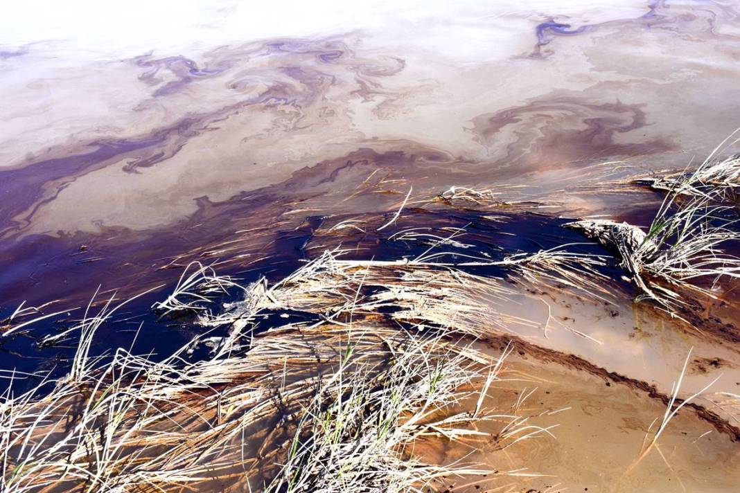 Kızılırmak'ta akaryakıt sızıntısı paniği! Yetkililer harekete geçti, kahreden görüntüler 10